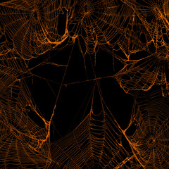 Real spooky spider webs hanging together to make a frame. Halloween background.