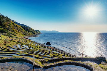 Wall Mural - 世界農業遺産 能登 白米千枚田