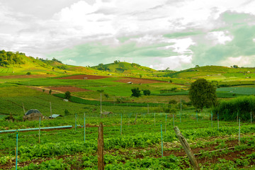 Wall Mural - Agricultural area with mountain view of Mae Chaem district in Chiang Mai province