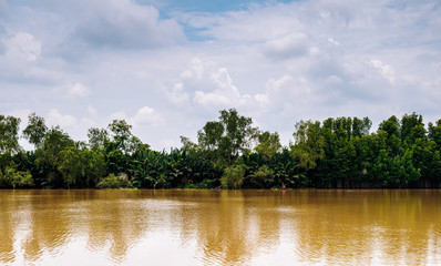 lake in the forest nature concept background