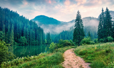 Fototapeta Ścieżka wśród gór porośniętych lasem