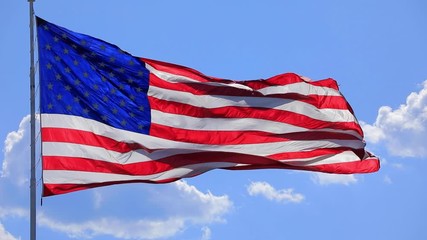 Wall Mural - the flag of the united states of american blowing in the wind