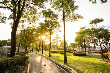 Wall Mural - garden for activity with sunset. the mall at central park