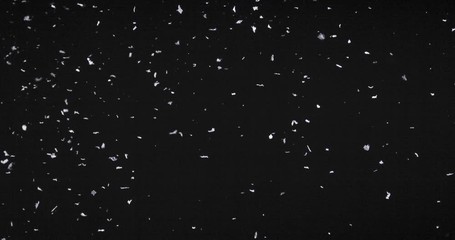 Wall Mural - falling real snowflakes, heavy snow, shot on a black background, frosted, wide-angle, insulated, ide