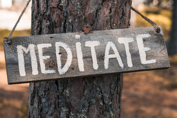 A wooden motivating tablet on an old pine tree in an autumn park says “Meditate”