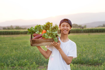 Wall Mural - Happy young asia farmer carrying fresh product of vegetable basket while smiling in green organic field.