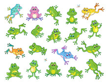 A Large Set Of Funny Frogs In Various Colors And Poses. In Cartoon Style. Isolated On A White Background.