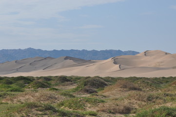 Wall Mural - Mongolie intérieure, Desert de Badain jaran