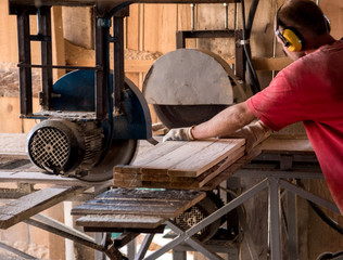 Wall Mural - Modern sawmill. A carpenter works on woodworking the machine tool.