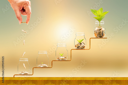 Fotomural Investor hand hold and drop a gold coin in the five bottle and plant growing on golden steps on sunlight background, Business investment and saving money concept