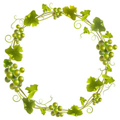 Wall Mural - Green grape wreath. Round green frame bunches of grapes. Vector illustration.