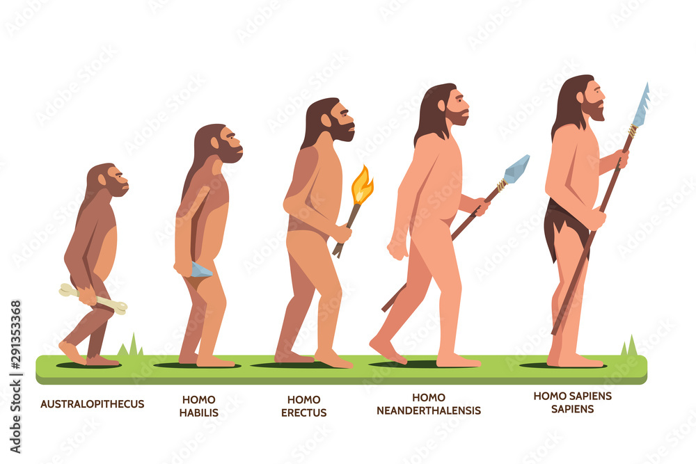 Human evolution stages and man progression stages Stock Vector | Adobe ...