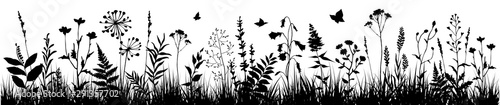 Fotografía Background with black silhouettes of meadow wild herbs and flowers