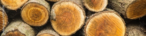Photographie banner of Background of dry chopped firewood logs stacked up on top of each othe