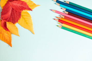 Top view colorful pencils and yellow and red leaves on the white background.