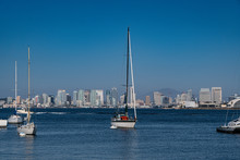 Sailboats Docked Off Shore In San Diego Bay With San Diego Skyline.  Shot From Shelter Island, San Diego.  August 29, 2019