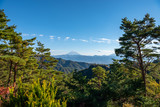 Fototapeta Na ścianę - Mount Fuji, the World Heritage. Beautiful scenery view, pine forests in foreground, blue sky and white clouds in background. Shosenkyo observation station, Kofu City, Yamanashi Prefecture, Japan