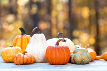 Variety Of Pumpkins Outside On A Fall Forest Background