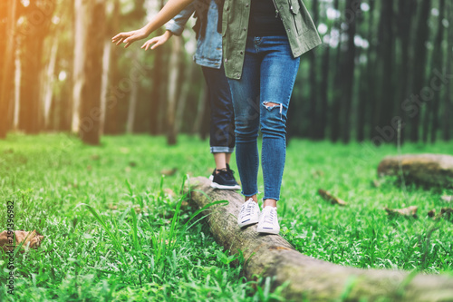 Fotomural Group of traveler walking on the log while hiking in the forest