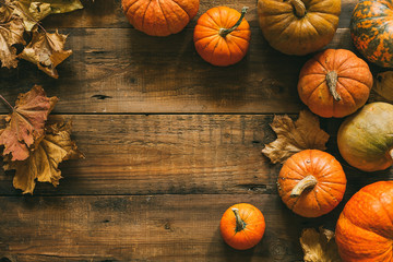 Wall Mural - different pumpkins on a wooden surface.