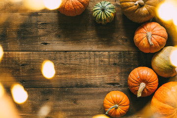 Wall Mural - different pumpkins on a wooden surface with bokeh lights.