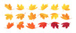 Large set of autumn maple leaves. Vector autumn background with leaves.