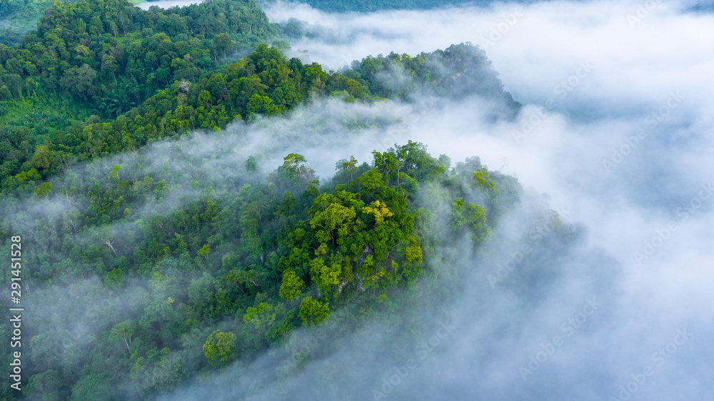 Aerial view of Asia morning mist at tropical rainforest mountain, Background of beautiful forest and mist, Aerial top view background amazon forest. - obrazy, fototapety, plakaty 