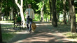 © motortion - Blind elderly man walking with guide dog in park, good trained golden retriever