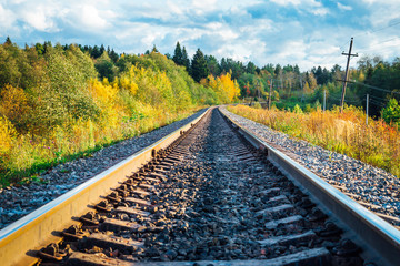 Wall Mural - railway track goes into the distance through the autumn forest