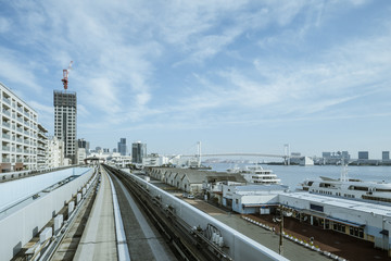 Wall Mural - Cityscape from monorail sky train in Tokyo