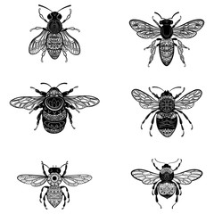 Wall Mural - Set of bees in zentangle style. Collection of flies with ornaments. Black and white vector illustration of stylized insects. Tattoo.