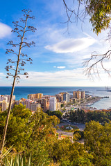 Wall Mural - Skyline aerial view of Malaga city, Andalusia, Spain. Autumn sunny evening