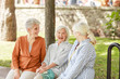 © Yakobchuk Olena - Cheerful old women chatting and laughing outdoors