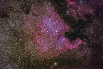 Wall Mural - the north america nebula ngc7000 sometimes called the elelphant nebula as seen from cornish clear da