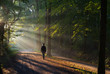 Man walking in a lane with the sunlight breaking through the trees.