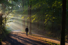 Man Walking In A Lane With The Sunlight Breaking Through The Trees.