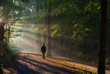 man walking in a lane with the sunlight breaking through the trees.