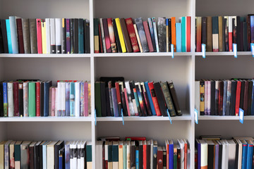 Canvas Print - Many books on shelves in modern library