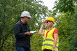 © cineberg - Architect and builder or surveyors discussing about the building location for an ecological forest project