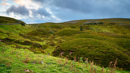 Canvas Print - Source of River East Allen, as it begins its journey on Allendale Common in the North Pennines AONB Northumberland