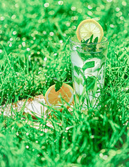 Sticker - lemonade in a glass on green grass