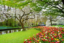 Keukenhof Royal Park Of Flowers And Tulips In The Netherlands. Beautiful Outdoor Scenery In Holland
