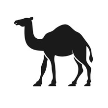 Camel Graphic Silhouette Logo Design Vector