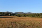 Fototapeta Sawanna - landscape with green field and blue sky