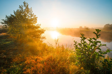 Poster - Vivid autumn sunrise