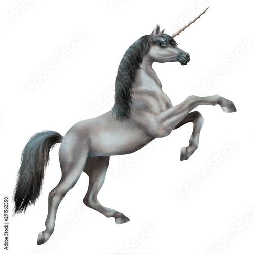 Cheval Gris Isolé Animal étalon Noir Galop Arabe