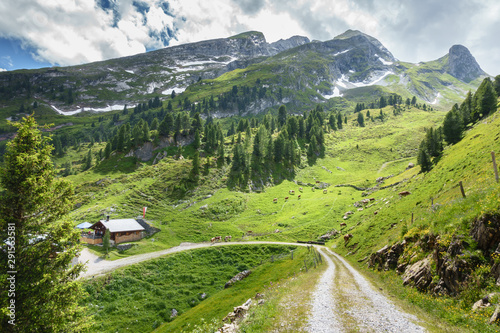 Obraz na plátně  schöner Wanderweg zu einer Almhütte und Jausenstation