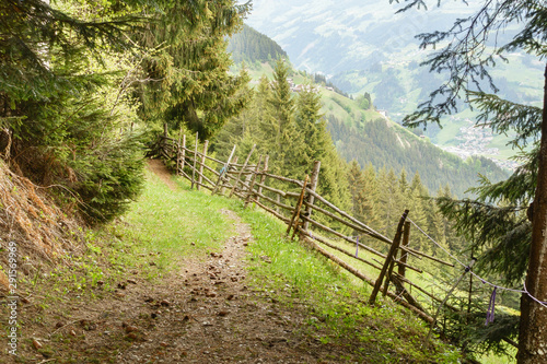 Fotografie, Obraz  Waldwanderweg in den Zillertaler Bergen