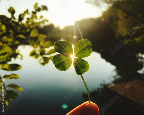 Cuadros en Lienzo Mano quadrifoglio con la luce del sole