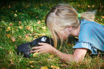 Child cute girl playing with pet guinea pig outdoors on green grass